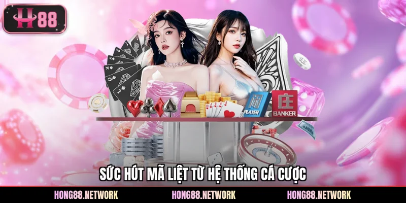 Sức hút mã liệt từ hệ thống cá cược